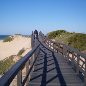 Recycled Plastic Beach Walkway
