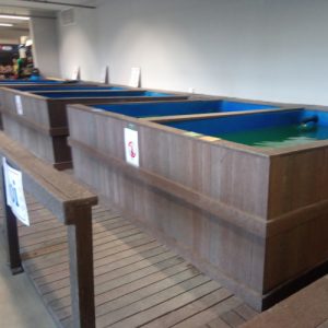 Recycled Plastic Koi Pond