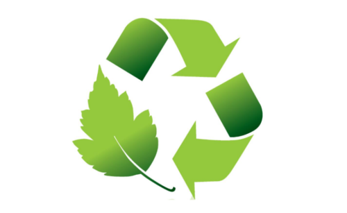 The Lifecycle of a Plastic Pallet: From Waste to Workhorse
